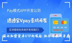国内加密货币ETF的崛起：
